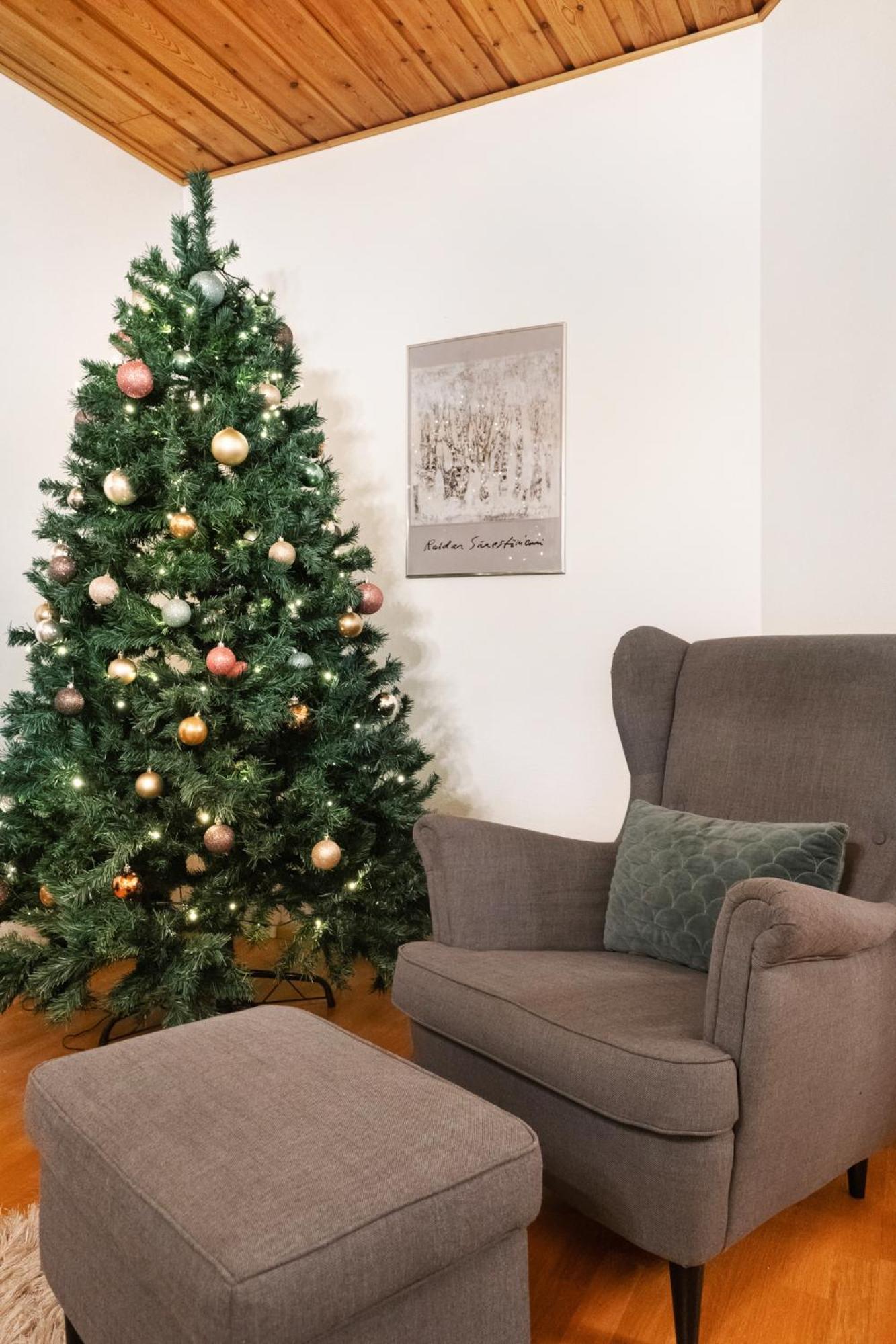 Villa Kataja Rovaniemi Bagian luar foto